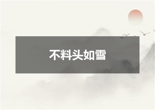 不料头如雪