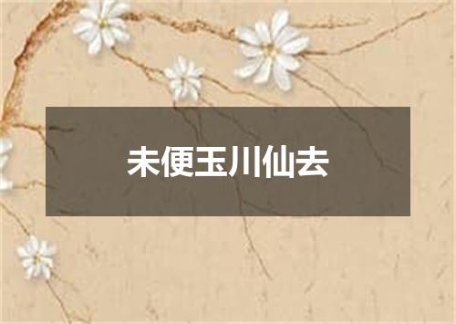 未便玉川仙去