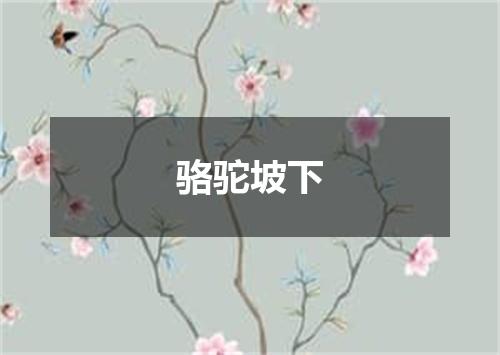 骆驼坡下