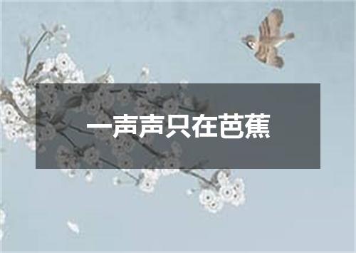 一声声只在芭蕉