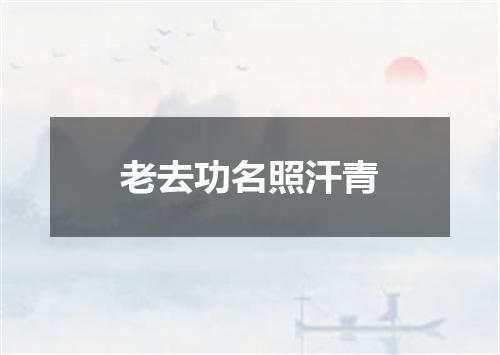 老去功名照汗青