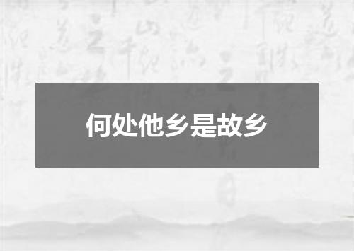 何处他乡是故乡