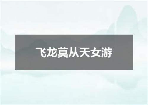 飞龙莫从天女游