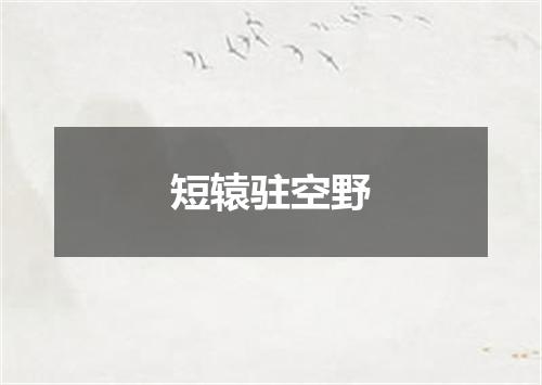 短辕驻空野