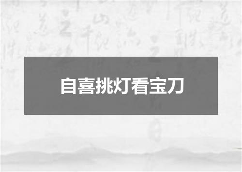 自喜挑灯看宝刀