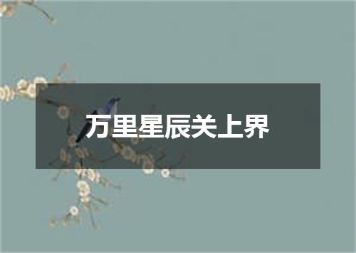 万里星辰关上界
