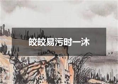 皎皎易污时一沐