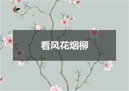 看风花烟柳