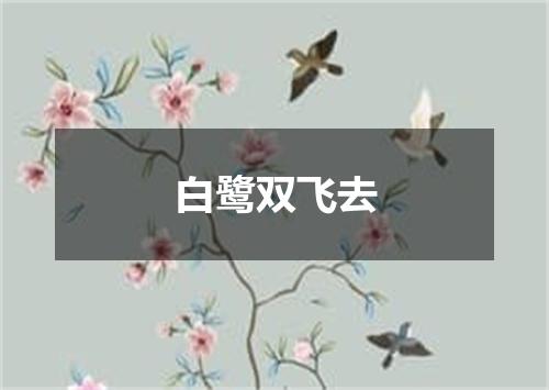 白鹭双飞去
