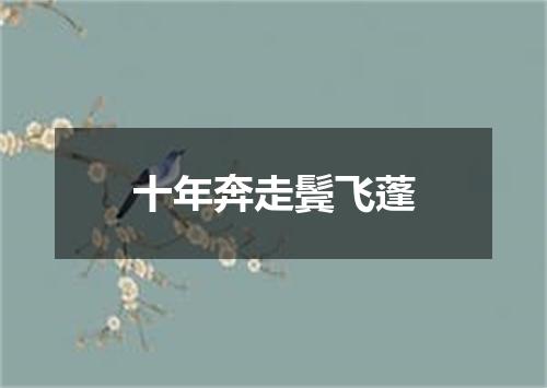 十年奔走鬓飞蓬