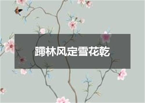 蹛林风定雪花乾