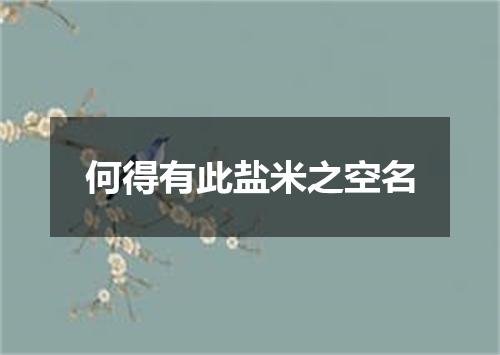 何得有此盐米之空名