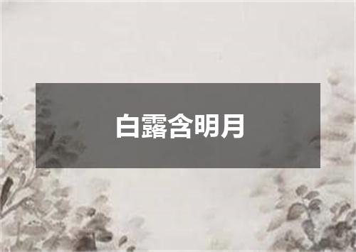 白露含明月