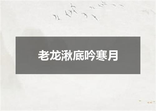 老龙湫底吟寒月