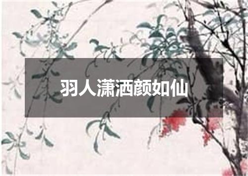 羽人潇洒颜如仙