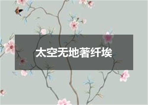太空无地著纤埃