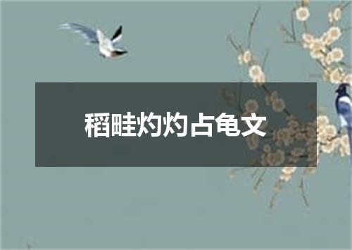 稻畦灼灼占龟文