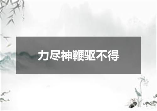 力尽神鞭驱不得