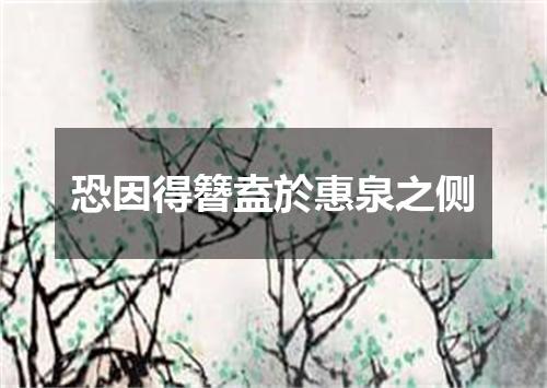 恐因得簪盍於惠泉之侧