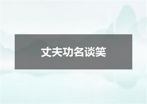 丈夫功名谈笑