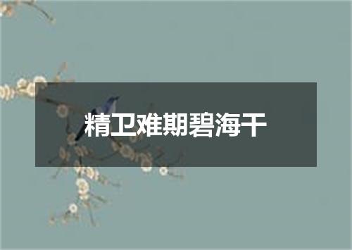 精卫难期碧海干