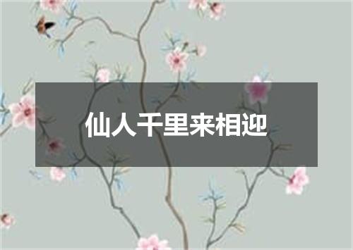 仙人千里来相迎