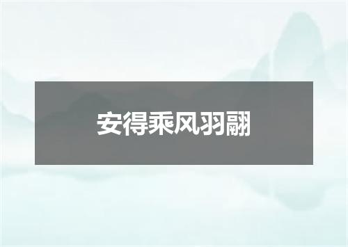安得乘风羽翮