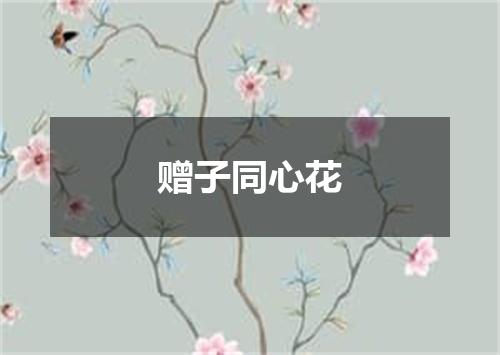 赠子同心花