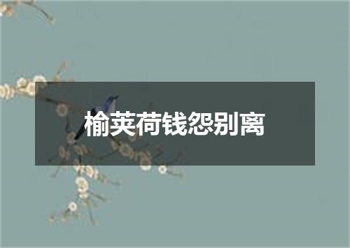 榆荚荷钱怨别离