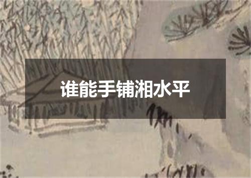 谁能手铺湘水平