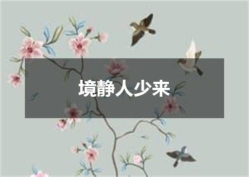 境静人少来