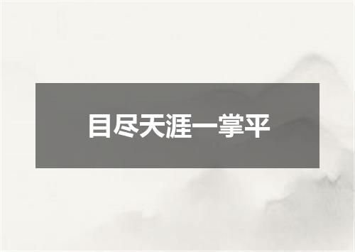 目尽天涯一掌平