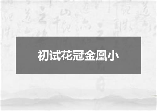 初试花冠金凰小