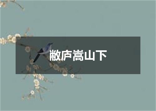 敝庐嵩山下
