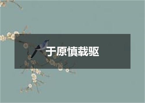 于原慎载驱