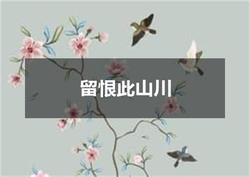 留恨此山川