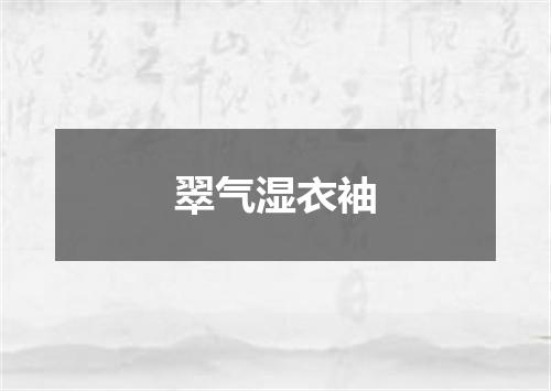 翠气湿衣袖