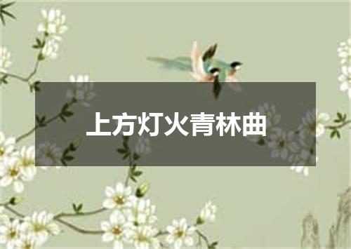 上方灯火青林曲