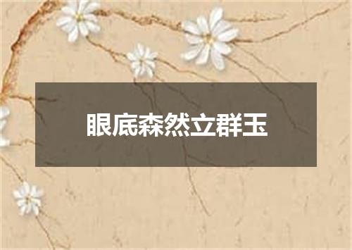 眼底森然立群玉