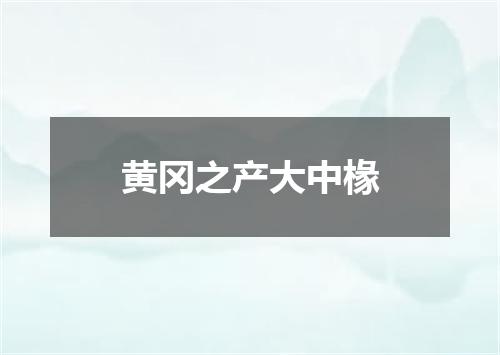 黄冈之产大中椽