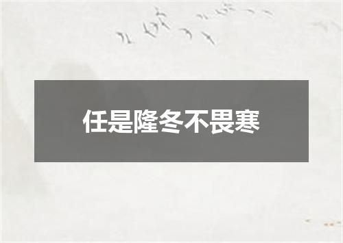 任是隆冬不畏寒