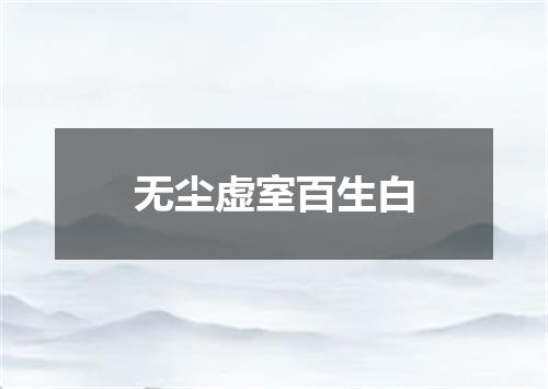 无尘虚室百生白