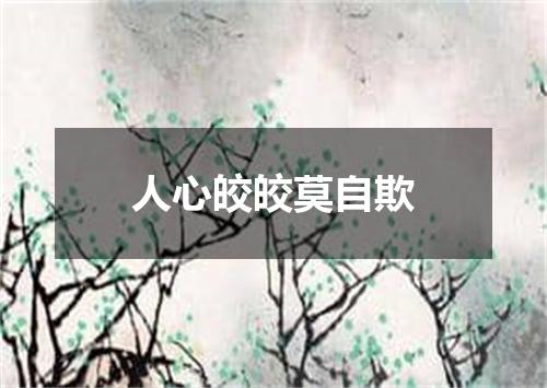 人心皎皎莫自欺