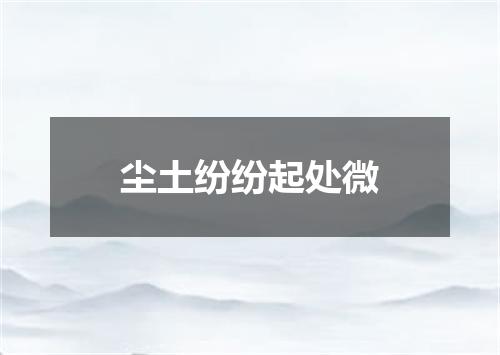 尘土纷纷起处微