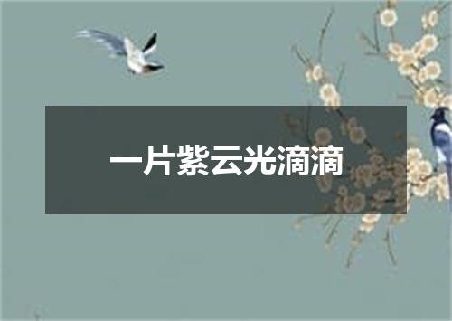 一片紫云光滴滴