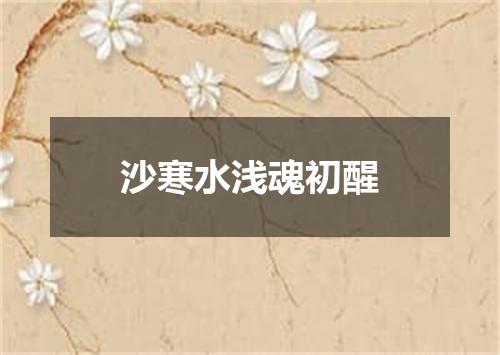 沙寒水浅魂初醒