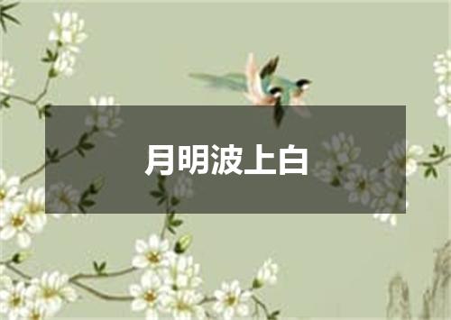 月明波上白