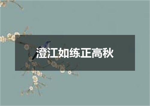 澄江如练正高秋