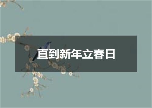 直到新年立春日