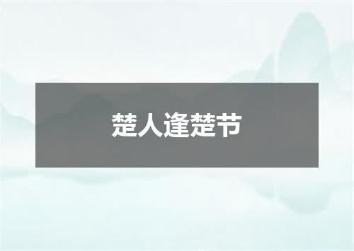 楚人逢楚节